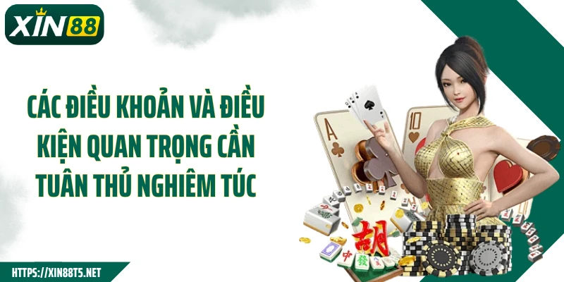 Các điều khoản và điều kiện quan trọng cần tuân thủ nghiêm túc