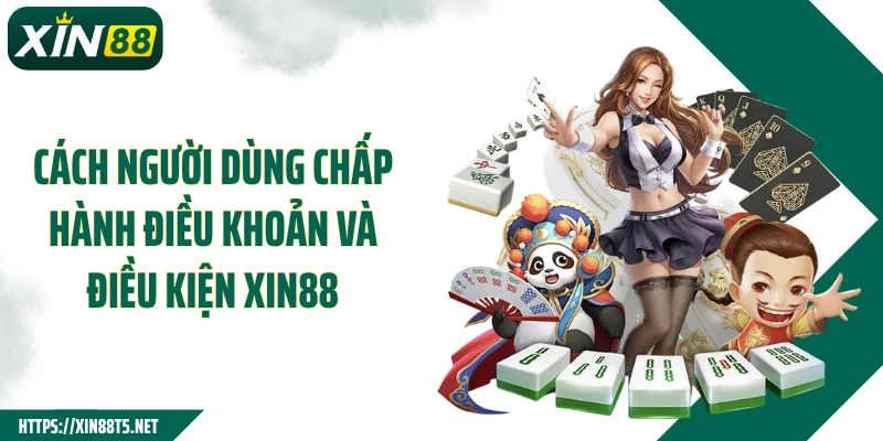 Cách người dùng chấp hành điều khoản và điều kiện XIN88