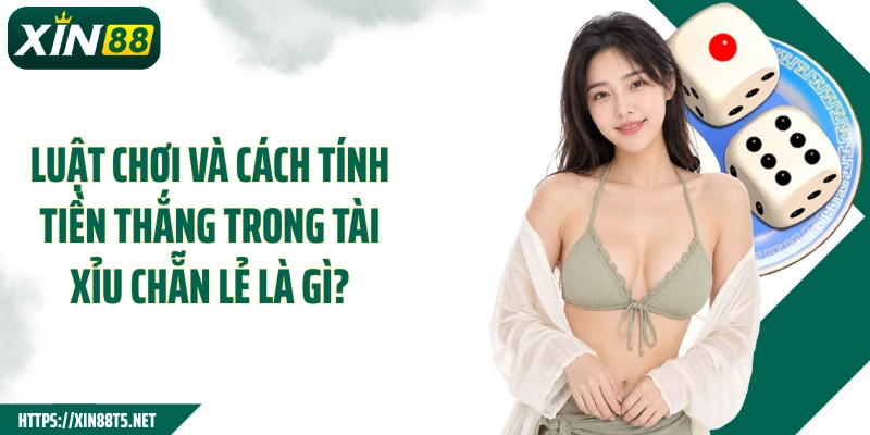 Luật chơi và cách tính tiền thắng trong tài xỉu chẵn lẻ là gì?