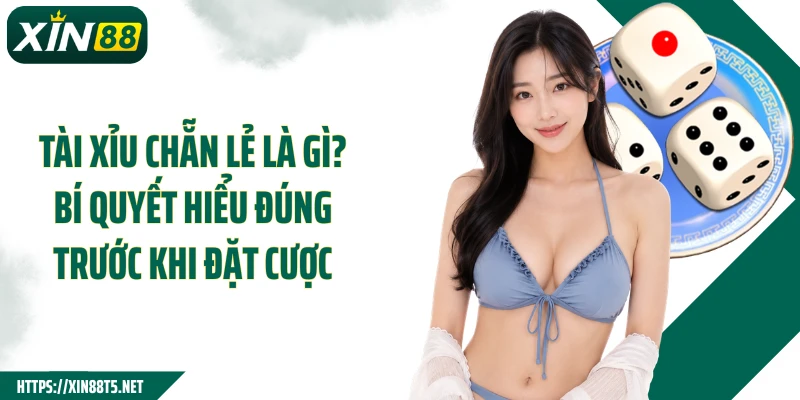 Tài Xỉu Chẵn Lẻ Là Gì? Bí Quyết Hiểu Đúng Trước Khi Đặt Cược