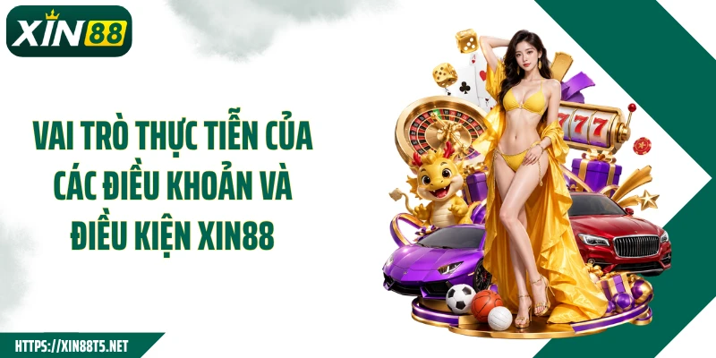 Vai trò thực tiễn của các điều khoản và điều kiện XIN88