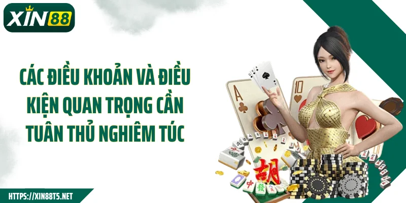 Các điều khoản và điều kiện quan trọng cần tuân thủ nghiêm túc